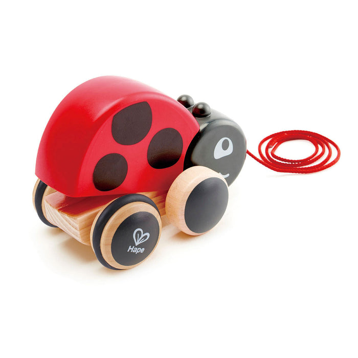 Juego de Arrastre Vaquita de San Antonio Hape