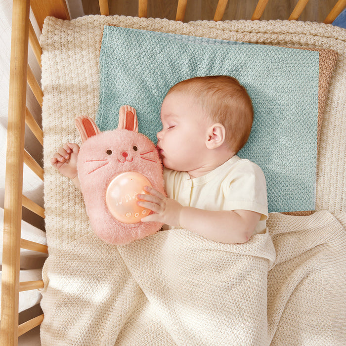 Amigo con Luz y Musical Huggy Roro Hape